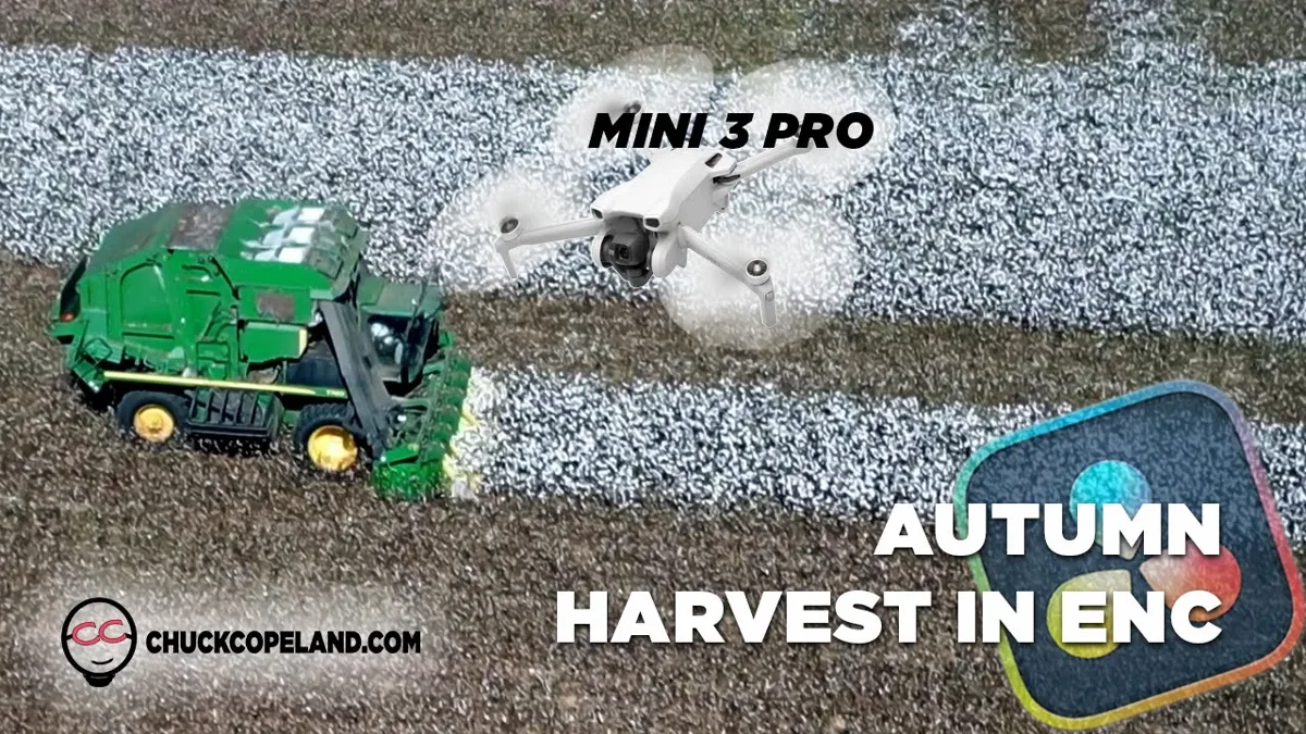 Autumn Harvest video poster